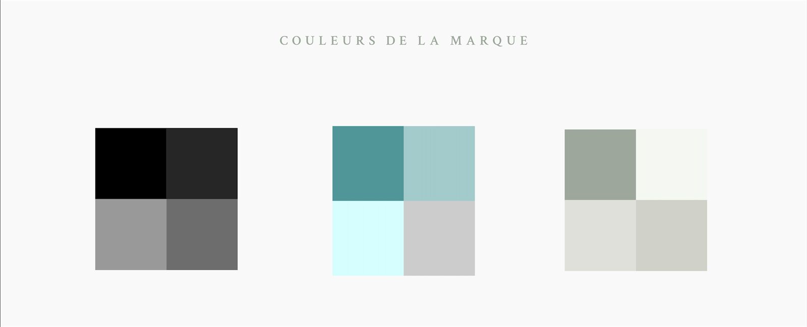 Couleurs de la marque