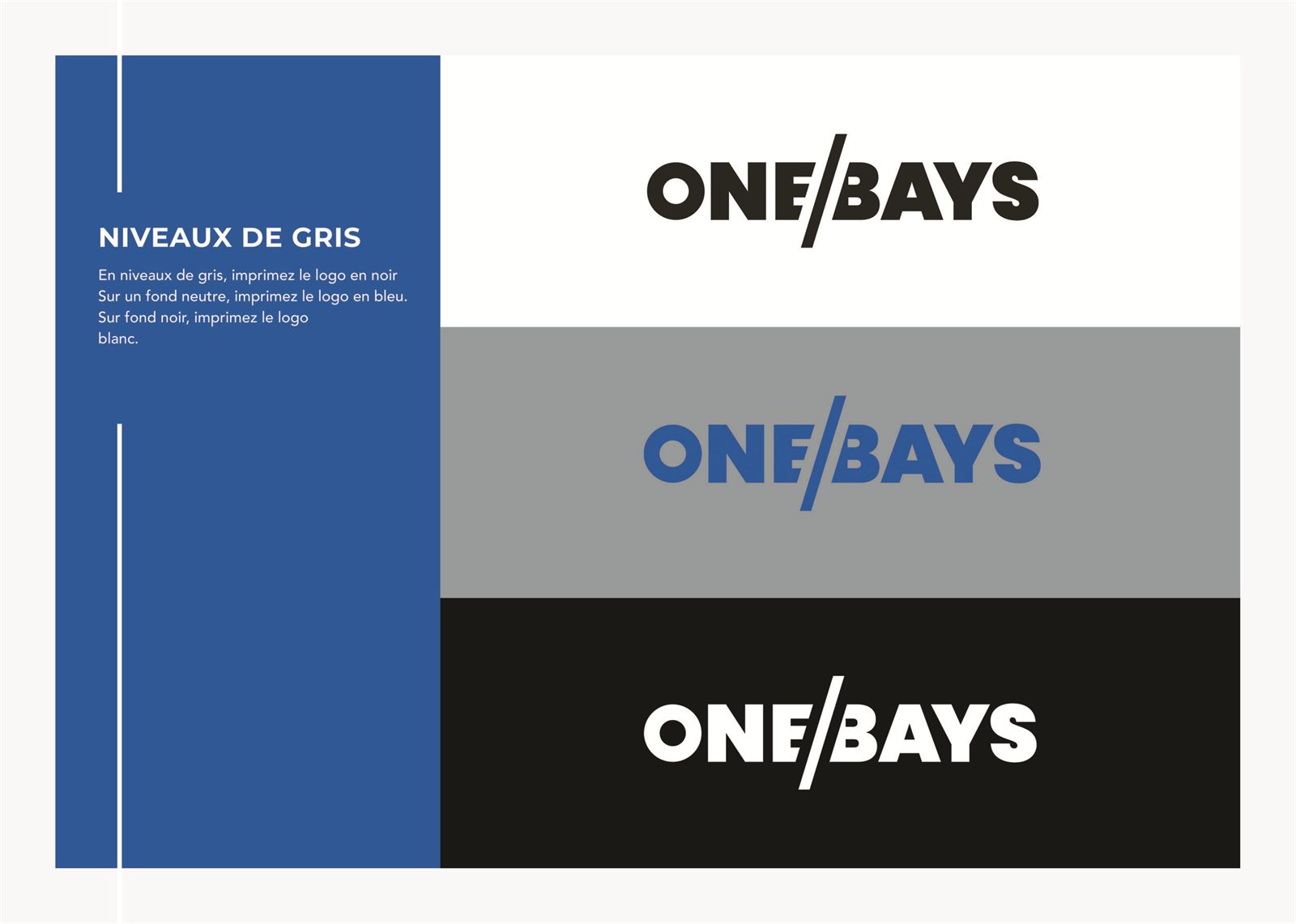 Déclinaisons du logo en niveaux de gris